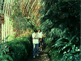 f/l09-n.jpg
