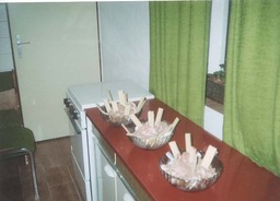 f/k09-n.jpg