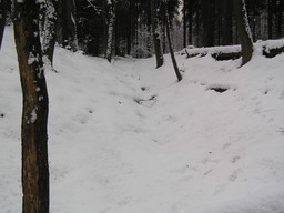 jpeg/PC030008-n.jpg