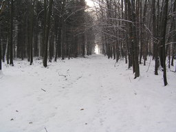jpeg/PC030009-n.jpg