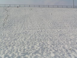 jpeg/PC030013-n.jpg