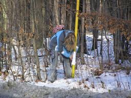 jpeg/PC040022-n.jpg