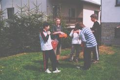 f/37-n.jpg