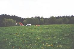 f/43-n.jpg