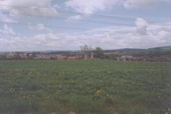 f/46-n.jpg
