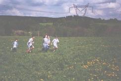 f/52-n.jpg