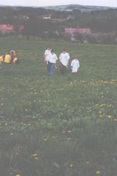 f/53-n.jpg