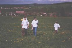 f/60-n.jpg