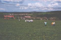 f/61-n.jpg