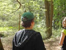 f/DSC01004-n.jpg