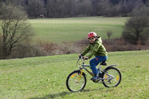 /IMG_3544-v.jpg