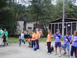 11/d11a-07-n.jpg