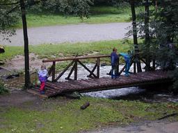 14/d14a-01-n.jpg
