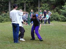 6/d6a-12-n.jpg