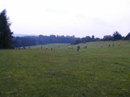7/d7a-41-n.jpg