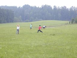 7/d7a-43-n.jpg
