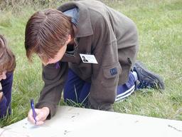 7/d7a-68-n.jpg