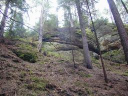 8/d8a-13-n.jpg