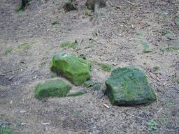 8/d8a-14-n.jpg