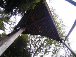 8/d8a-5-n.jpg
