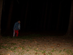 f/tabor203-n.jpg