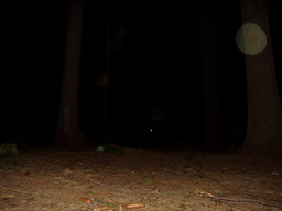 f/tabor209-n.jpg