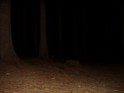 f/tabor211-n.jpg