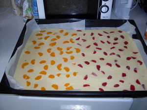 SDC12151-n.jpg