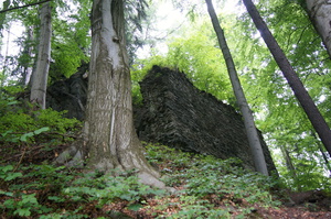 /28/DSC03475-v.jpg