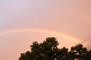 /28/IMG_7115-v.jpg