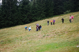 /DSC_6381-v.jpg