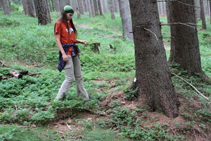 /IMG_0160-v.jpg