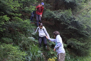 /IMG_2556-v.jpg