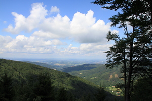 /IMG_2579-v.jpg
