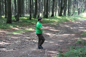 /IMG_2589-v.jpg