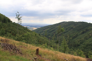 /IMG_2635-v.jpg