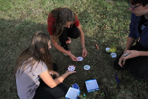 /IMG_2872-v.jpg