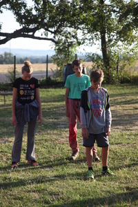 /IMG_3907-v.jpg