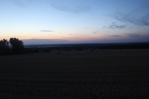 /IMG_4112-v.jpg
