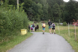 /IMG_4149-v.jpg