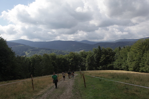 /IMG_4157-v.jpg