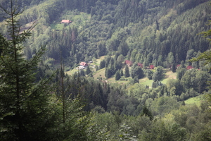/IMG_4173-v.jpg