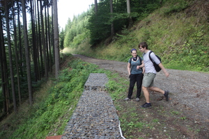 /IMG_4195-v.jpg