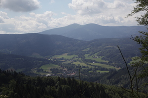 /IMG_4216-v.jpg
