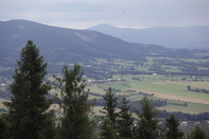 /IMG_4372-v.jpg