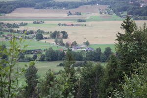 /IMG_4386-v.jpg