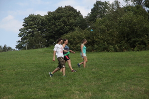 /IMG_4694-v.jpg