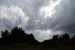 /_DSC0976-v.jpg