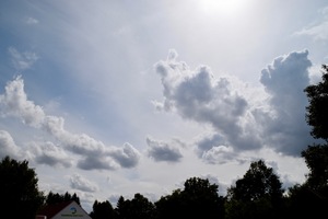 /_DSC2391-v.jpg