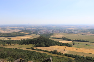 IMG_2250-v.jpg